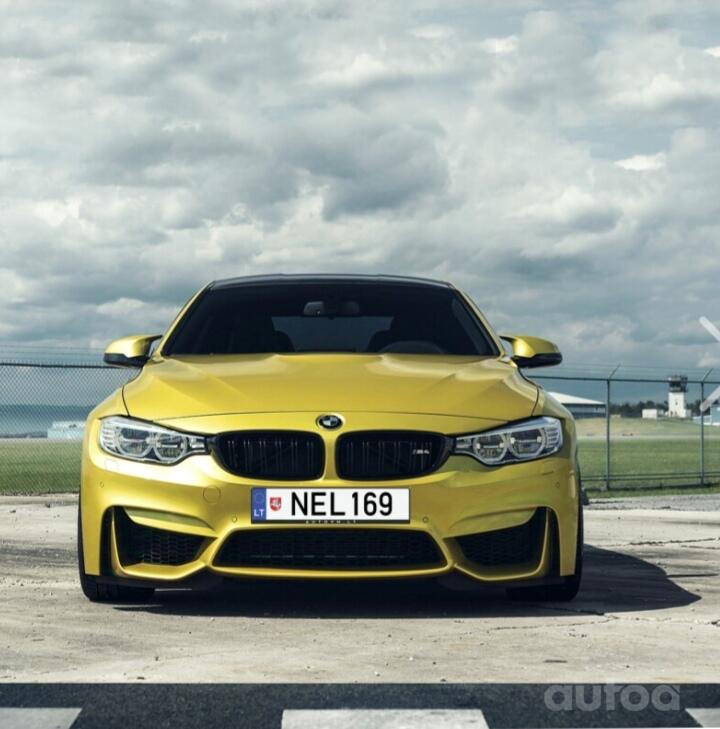 NEL169