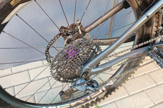 Giant Reign E+ 2 Pro