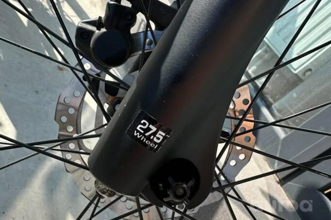 Trek Verve+