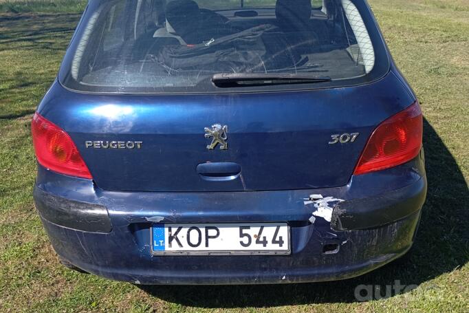 Peugeot 307 1 generation Hatchback 5-doors