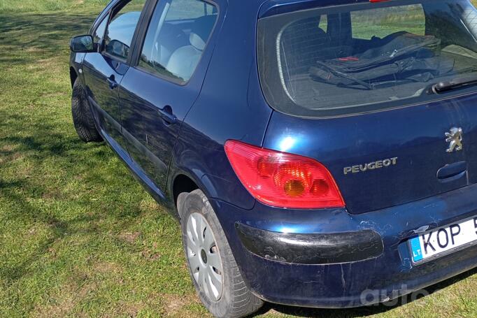 Peugeot 307 1 generation Hatchback 5-doors