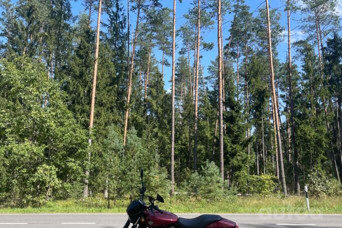 Harley Davidson Street