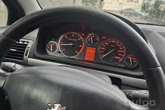 Peugeot 407 1 generation Sedan
