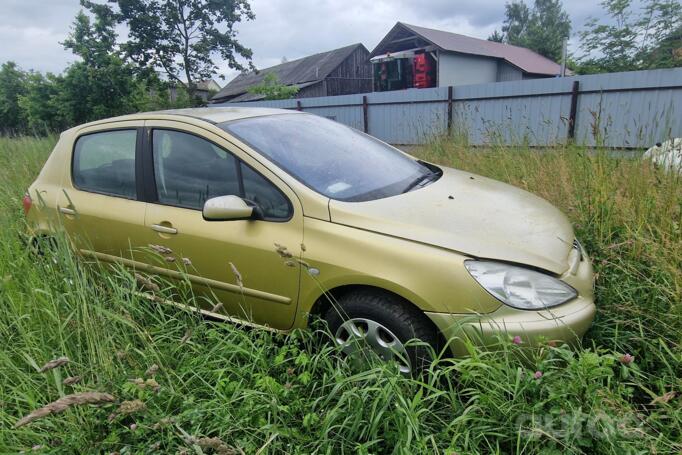 Peugeot 307 1 generation Hatchback 5-doors