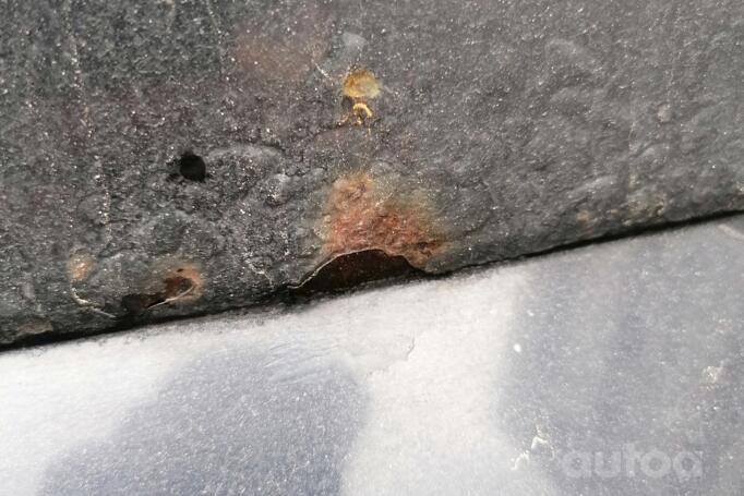 Opel Signum C Hatchback