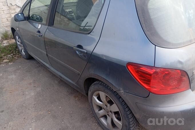 Peugeot 307 1 generation Hatchback 5-doors