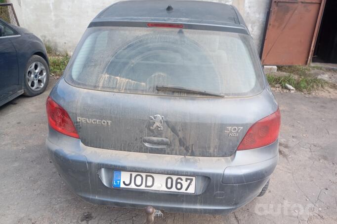 Peugeot 307 1 generation Hatchback 5-doors