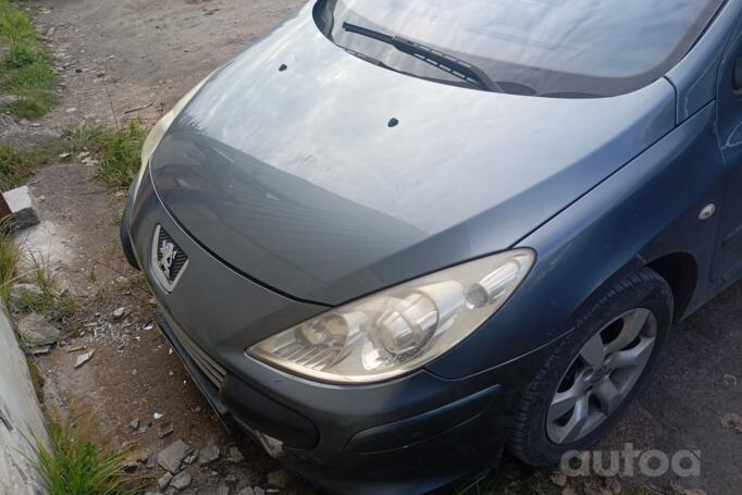 Peugeot 307 1 generation Hatchback 5-doors