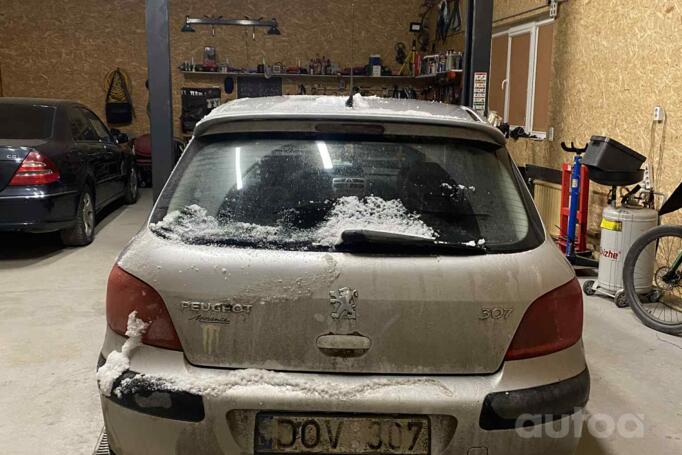 Peugeot 307 1 generation Hatchback 5-doors