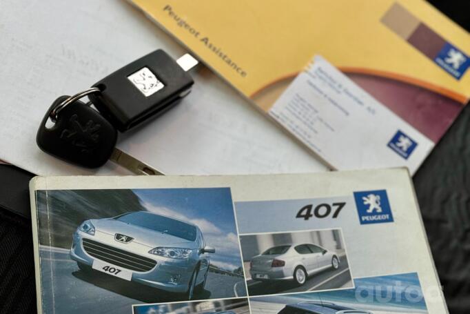 Peugeot 407 1 generation wagon