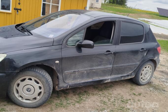 Peugeot 307 1 generation Hatchback 5-doors