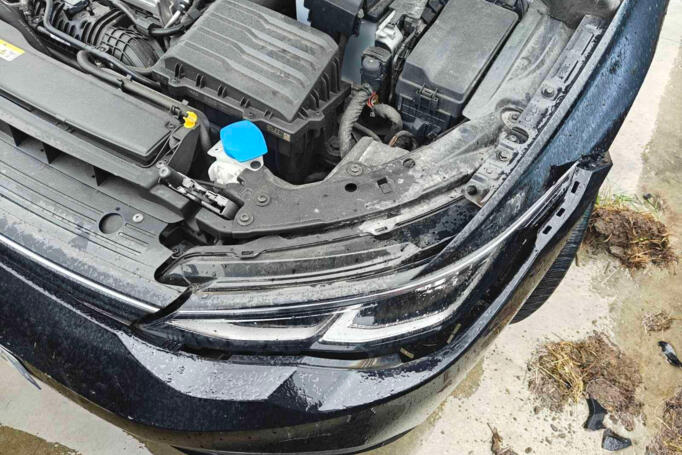 Volkswagen Golf 8 generation