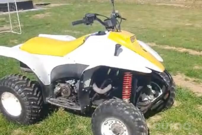 Polaris Trail Blazer