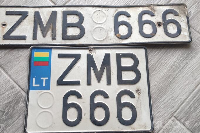 ZMB666