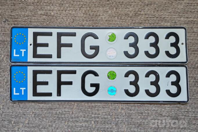EFG333