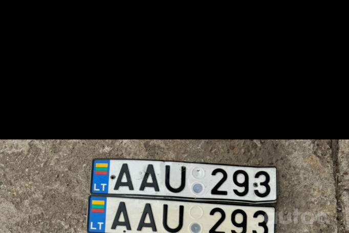 AAU 293