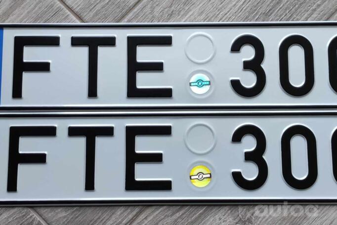 FTE300