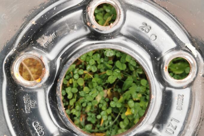 Audi, volkswagen, tērauda