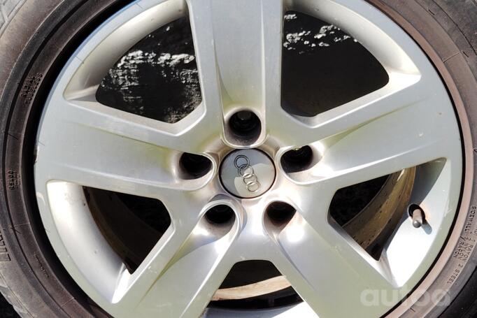 Audi, lietie