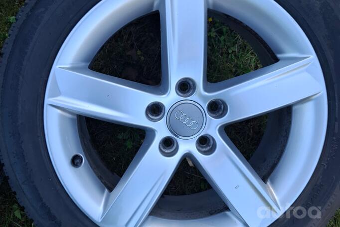 Audi, lietie