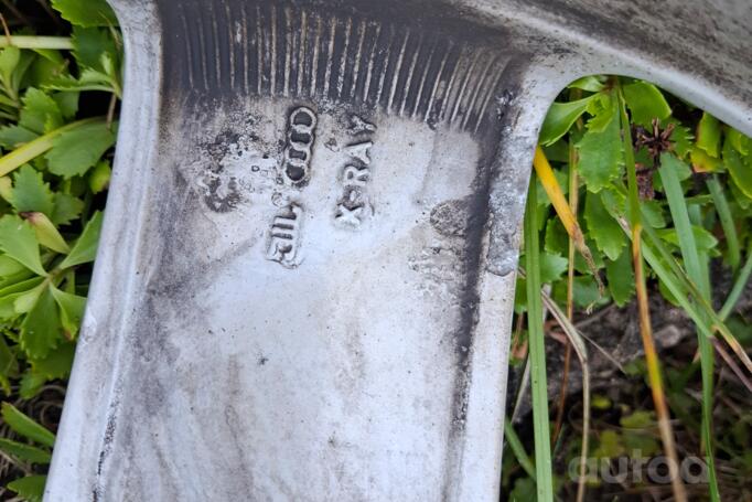 Audi, lietie