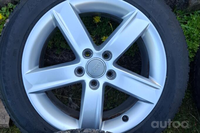 Audi, lietie
