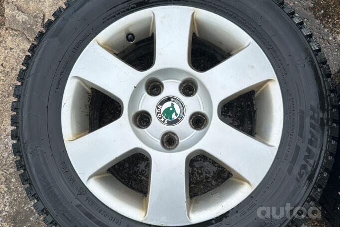 Skoda, lietie