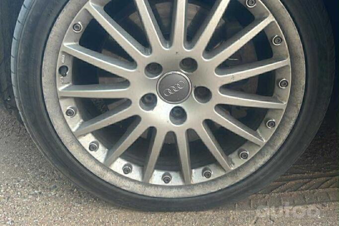 Audi, lietie