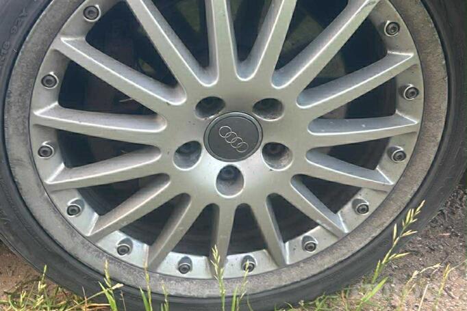 Audi, lietie