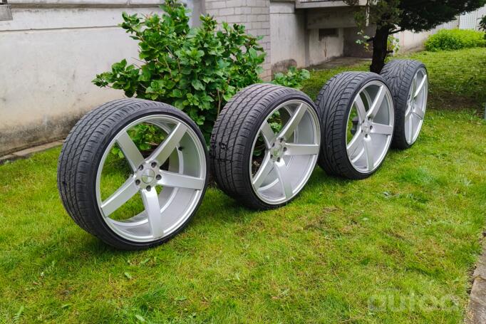 Vossen, lietie