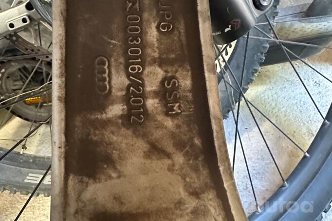 Audi, lietie