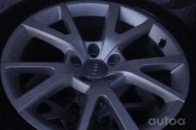 Audi, lietie