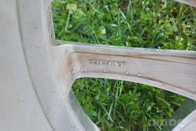 Audi, lietie