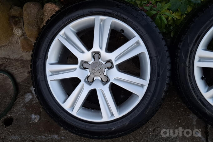 Audi, lietie