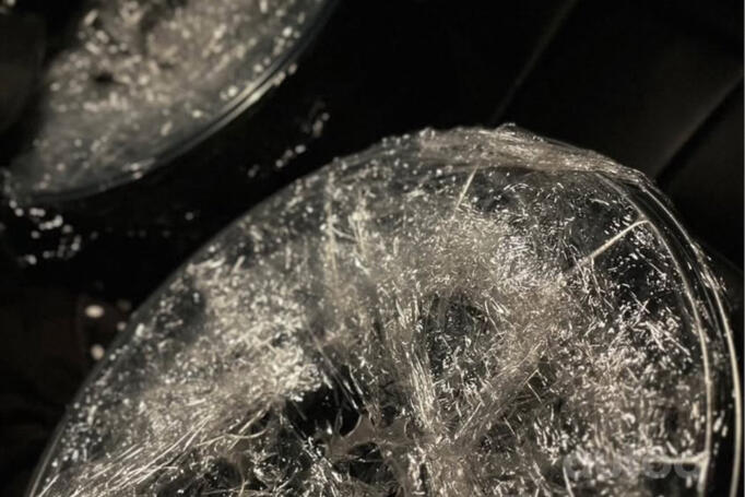 Japan Racing, lietie