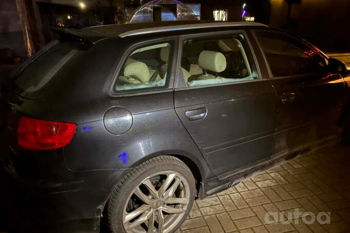 Audi, lietie