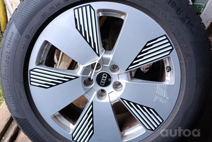 Audi, lietie