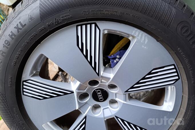 Audi, lietie