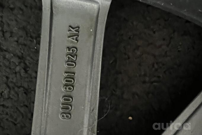 Audi, lietie