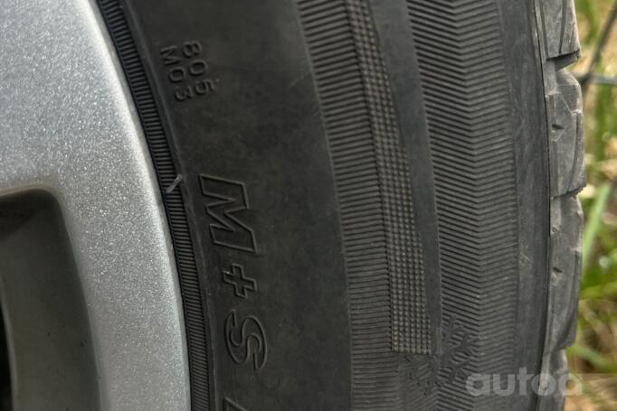 Audi, lietie