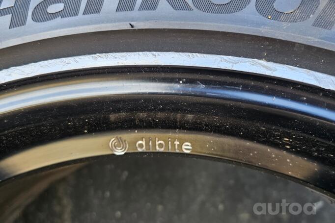 Dibite, lietie