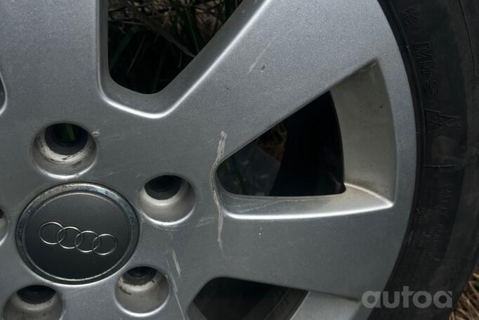 Audi, lietie