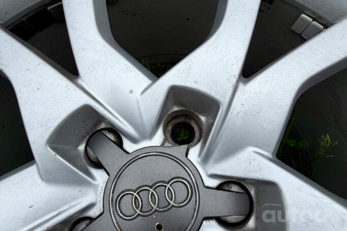 Audi, lietie