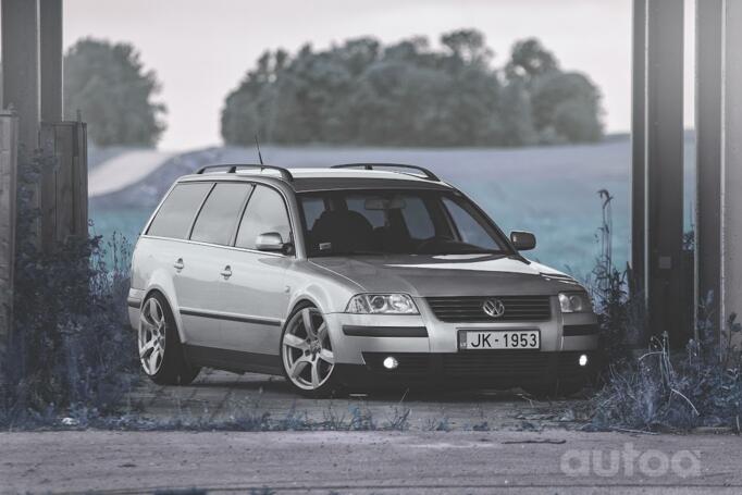 Audi, lietie