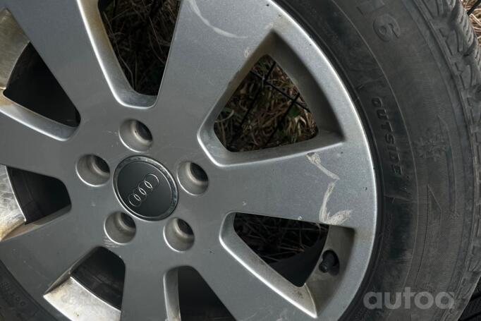 Audi, lietie