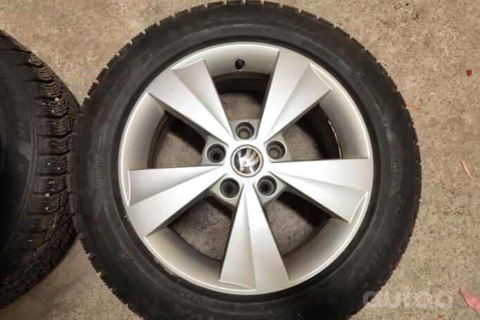 Skoda, lietie