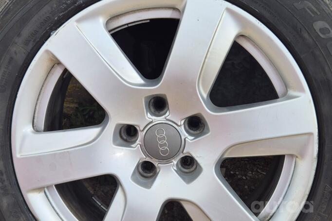 Audi, lietie