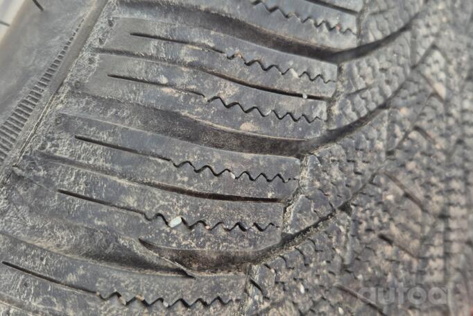 Audi, lietie