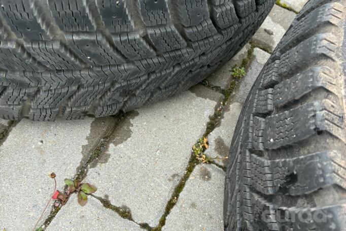 Audi, lietie