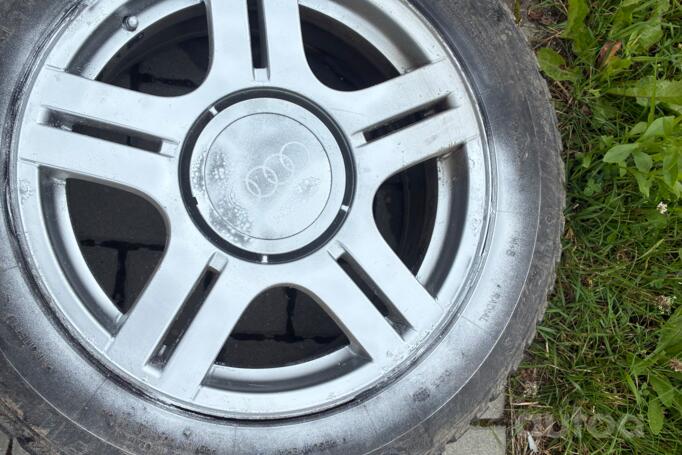 Audi, lietie